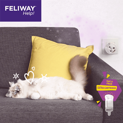Feliway discount anti scratch